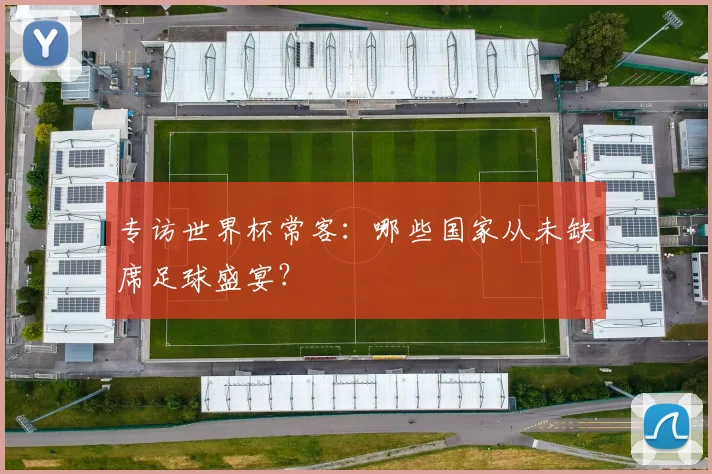 专访世界杯常客：哪些国家从未缺席足球盛宴？