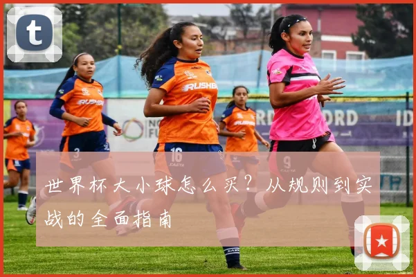 世界杯大小球怎么买？从规则到实战的全面指南