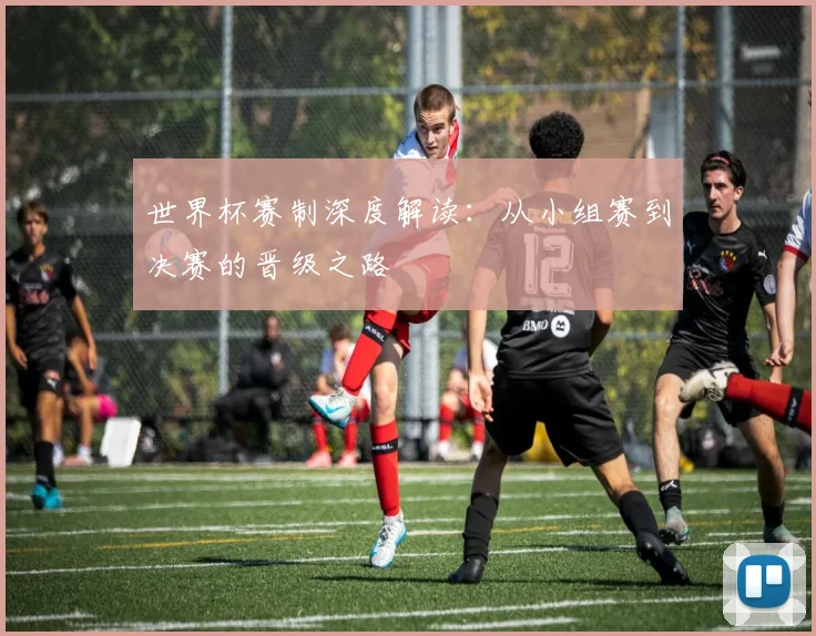 世界杯赛制深度解读:从小组赛到决赛的晋级之路