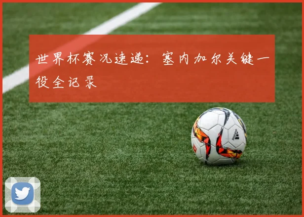 世界杯赛况速递：塞内加尔关键一役全记录