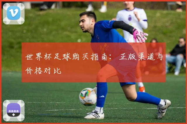 世界杯足球购买指南：正版渠道与价格对比
