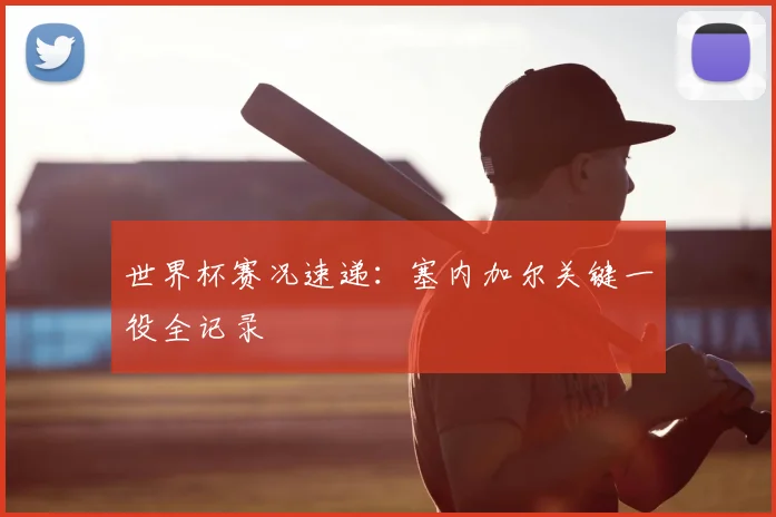 世界杯赛况速递：塞内加尔关键一役全记录