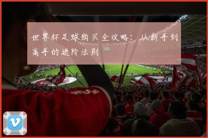 世界杯足球购买全攻略：从新手到高手的进阶法则