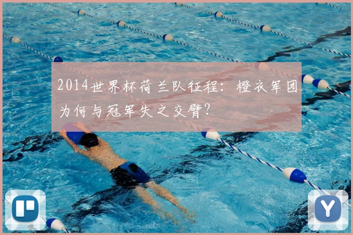 2014世界杯荷兰队征程：橙衣军团为何与冠军失之交臂？