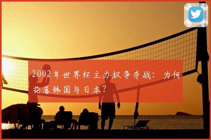 2002年世界杯主办权争夺战：为何花落韩国与日本？