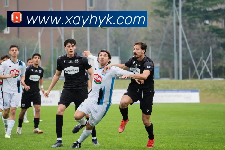 体育赛事